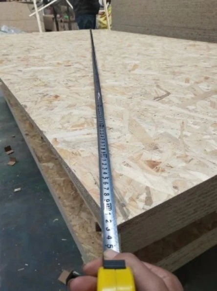 Structural Grade OSB Board suppliers